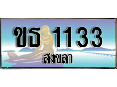 ขธ 1133 1 ขธ 1133 1