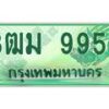 2.ทะเบียนสวย 9955 รถกระบะเลขประมูล – 3ฒม 9955 ทะเบียนป้ายเขียวเลขประมูล