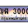 3000-1 jpg