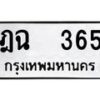 ฎฉ-365 jpg