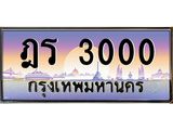 ฎร-3000 jpg