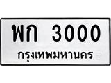 พก-3000 jpg