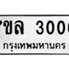 3006-1 jpg