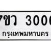 3006 jpg