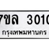 3010-1 jpg