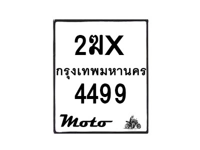 4499-1 jpg