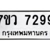 7299-2 jpg