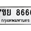 8666-1 jpg