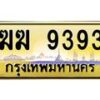 ฆฆ-9393 jpg