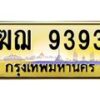 ฆฌ-9393 jpg