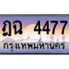 ฎฉ-4477 jpg